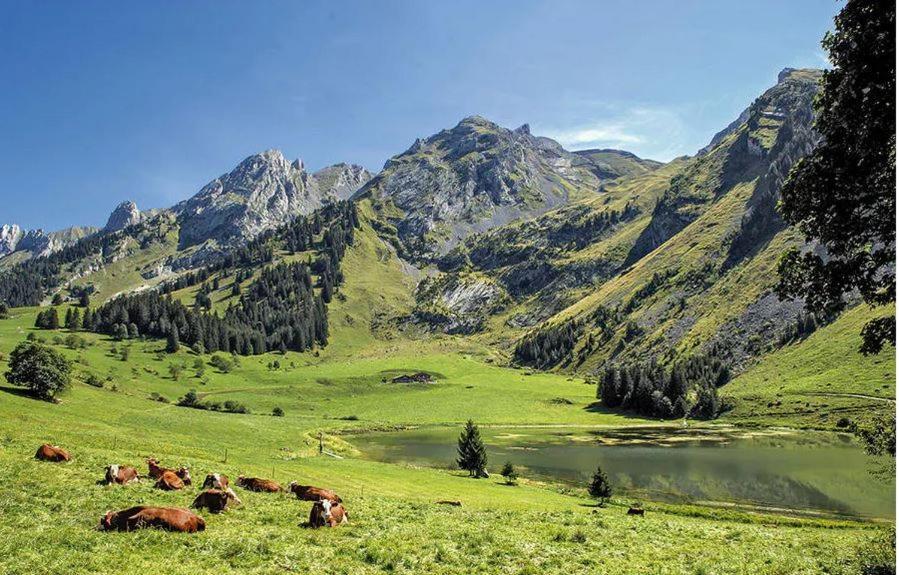 Hotel Les Aravis Saint-Jean-de-Sixt Eksteriør billede